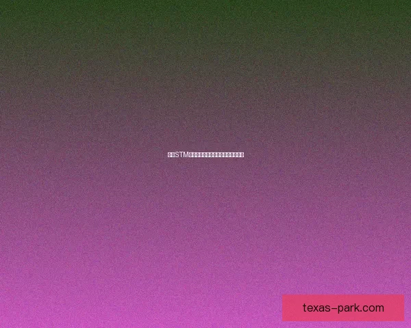 基于STM技术的创新应用与未来发展趋势探讨